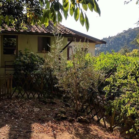 Agula Relais Camera Matrimoniale Pugnano 外观 照片