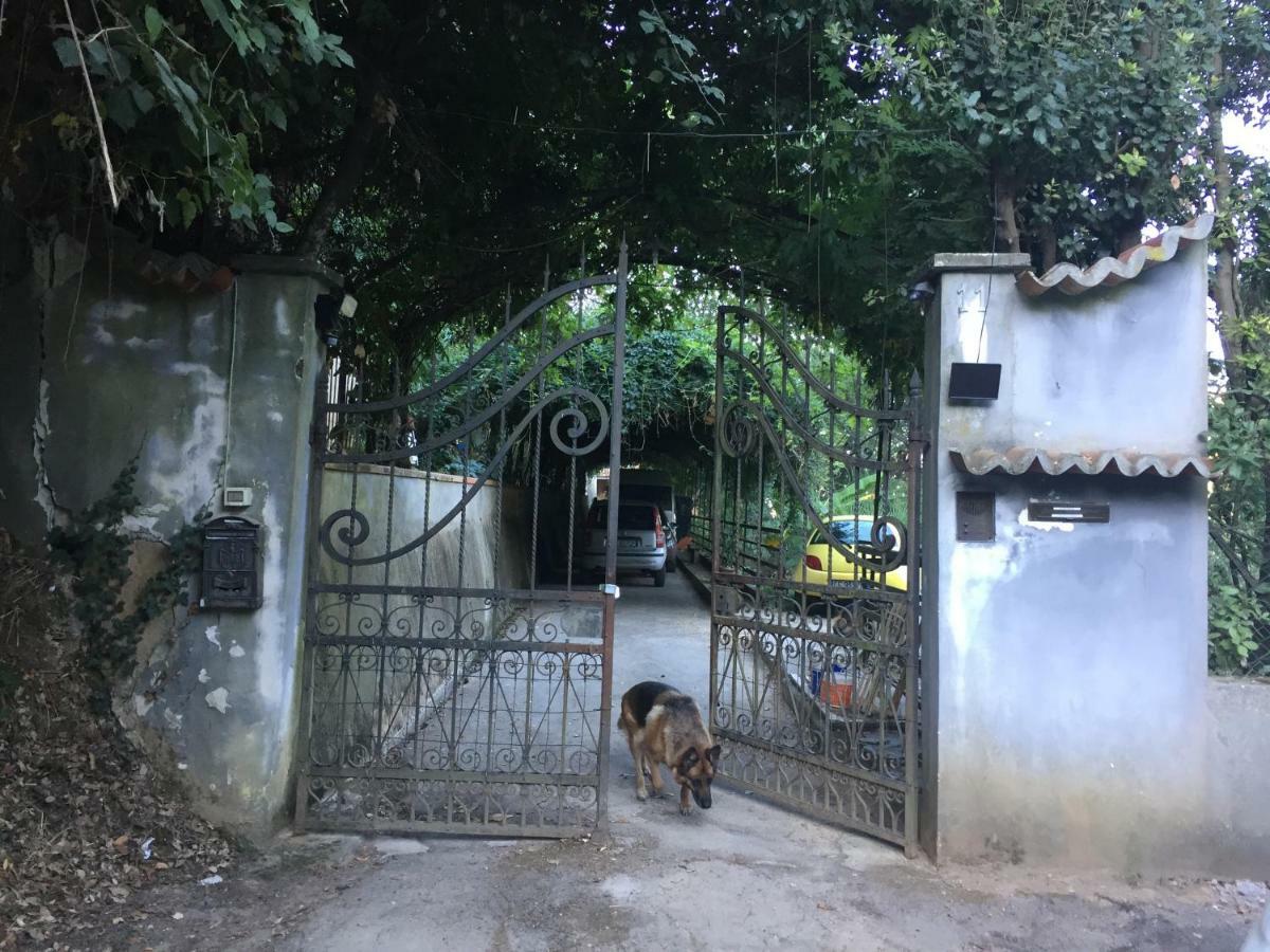Agula Relais Camera Matrimoniale Pugnano 外观 照片